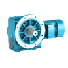Helical Worm Gear Motor