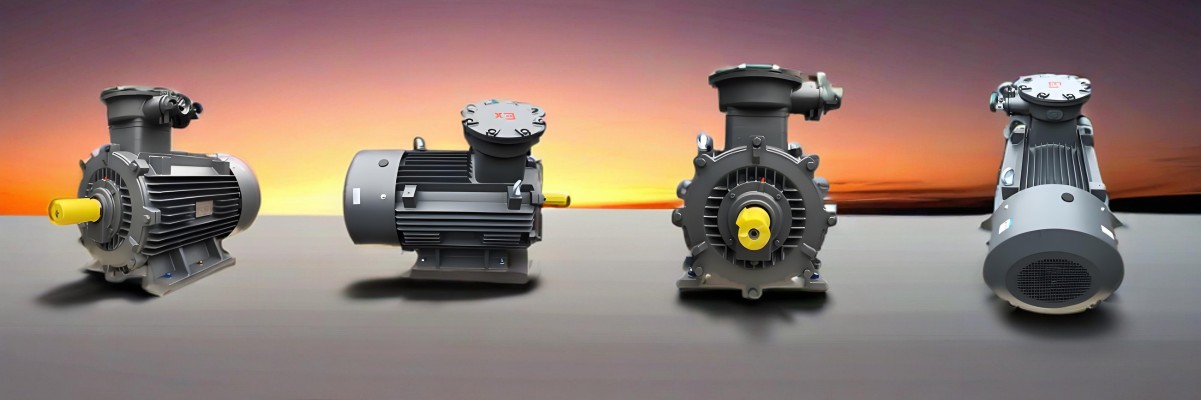 Explosion Proof Electric Motor IE4