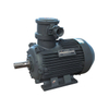 Dust Ignition Proof Motor