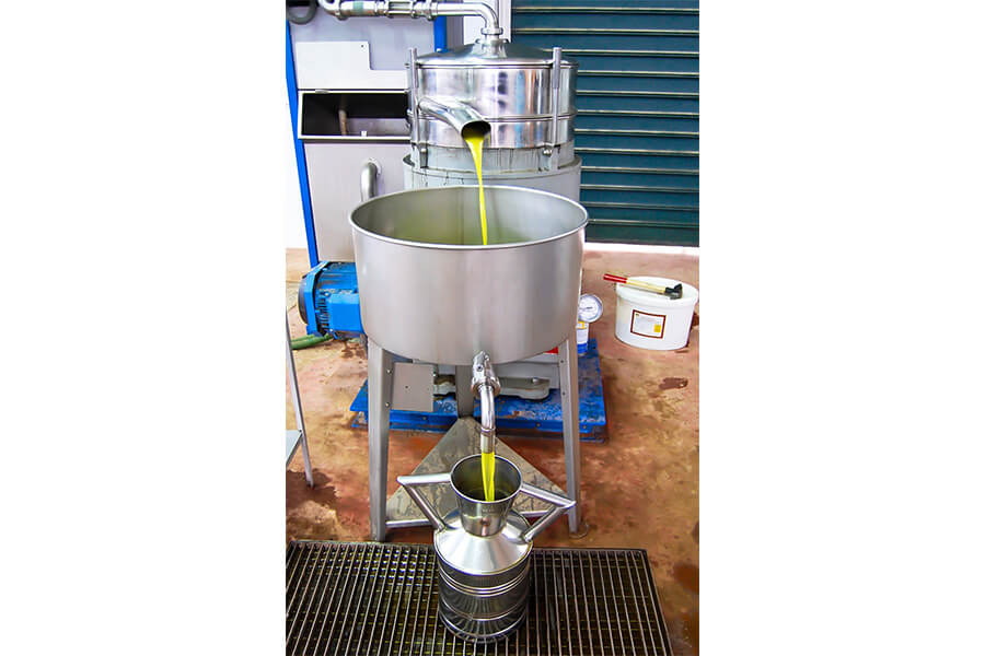 NMRV Gearbox for Processing equipment