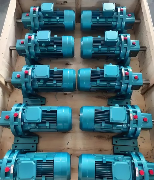 Cycloidal Reducer