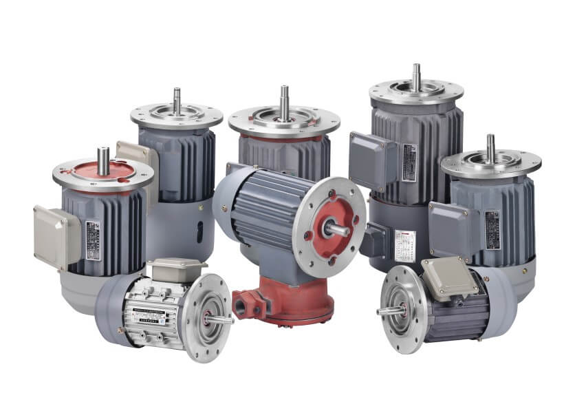 The main type of 3 phase AC motor
