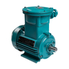Explosion Proof Electric Motor IE3