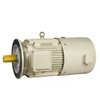Variable Frequency Motor