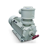 Dust Ignition Proof Motor