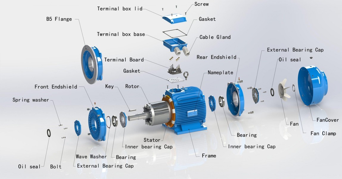 motor component