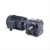 Helical Worm Gear Motor