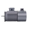 Variable Frequency Motor