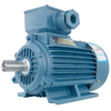 Dust Ignition Proof Motor