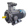 Dust Ignition Proof Motor