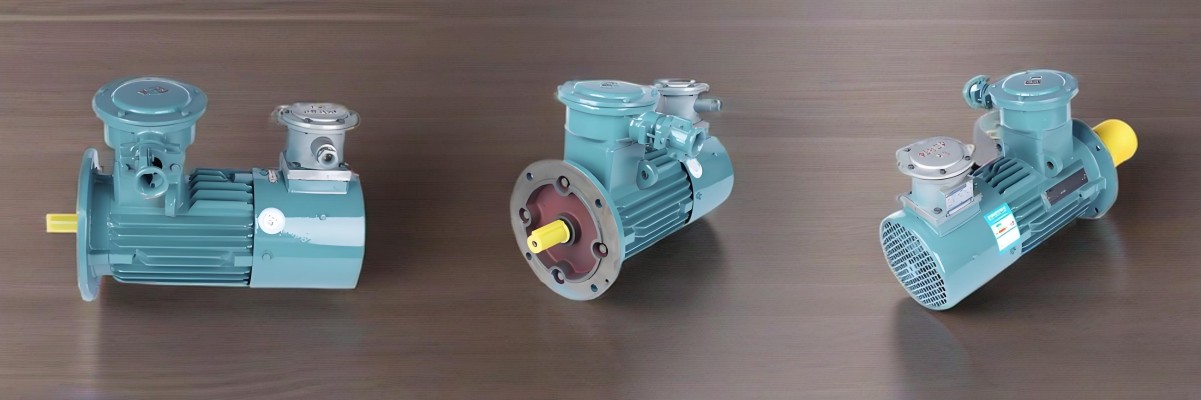 Variable Frequency Explosion-Proof Motor