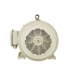 Variable Frequency Motor