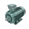 Dust Ignition Proof Motor
