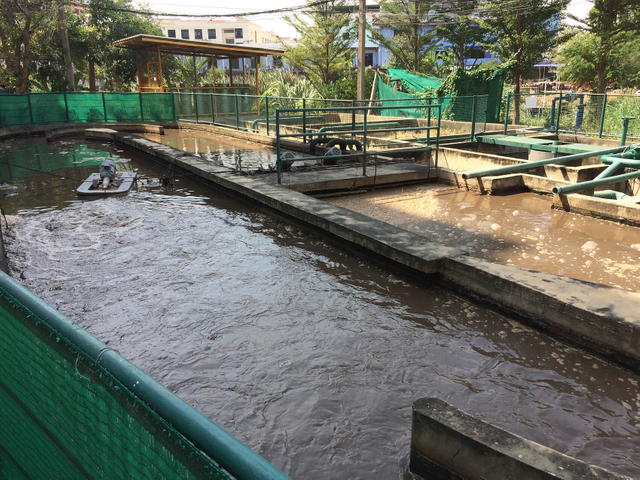 Waste Treatment