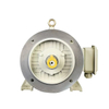 Variable Frequency Motor