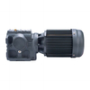 Helical Worm Gear Motor