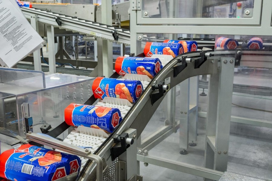 Chain Conveyor Systems