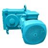 Parallel Shaft Helical Gear Motor