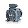 Dust Ignition Proof Motor